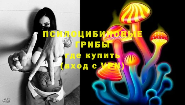 герыч Зерноград