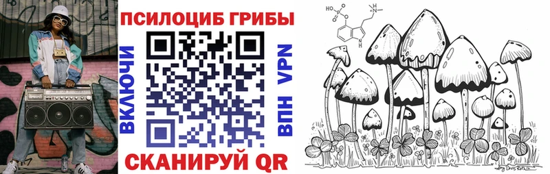 Галлюциногенные грибы GOLDEN TEACHER  Купить закладки  Гусев 